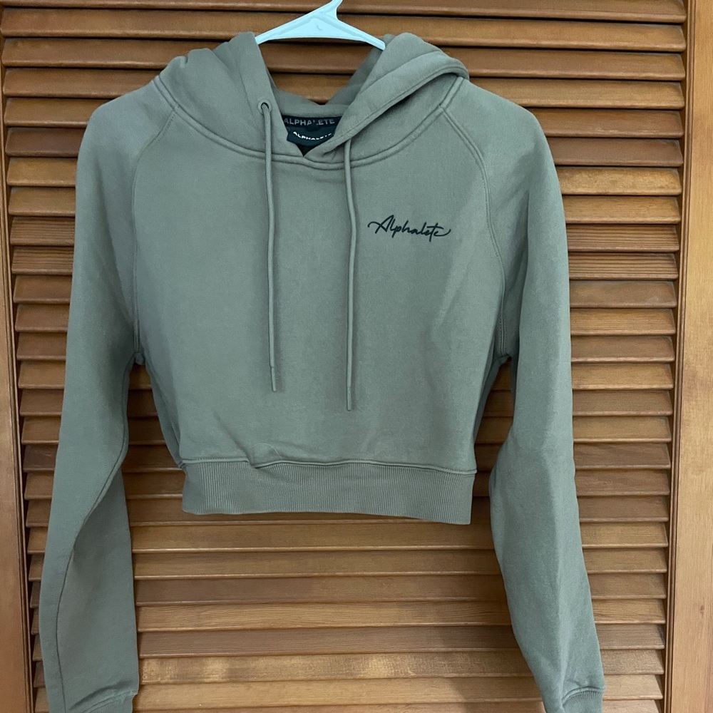 Cropped Alphalete Hoodie